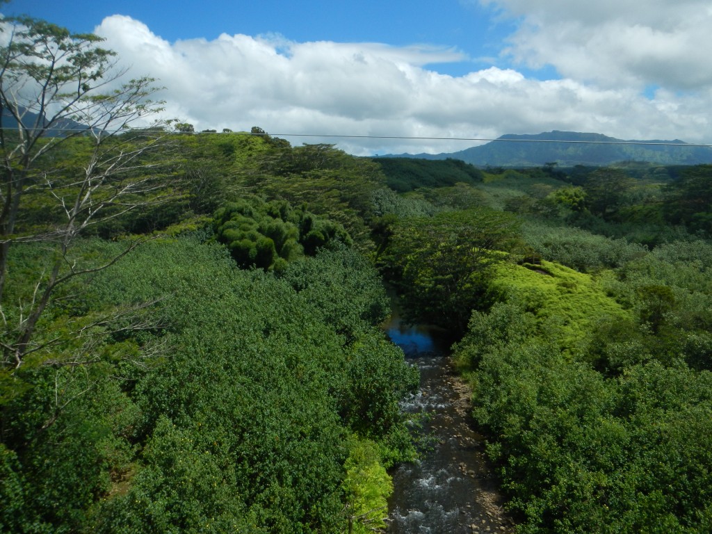 The valley we zipped over with Kauai Backcountry Adventures