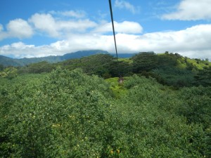 One of the ziplines at Kauai Backcountry Adventures