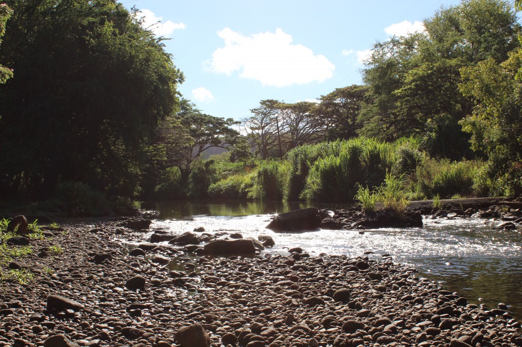 Hawai'ian creek bed in Kaua'i