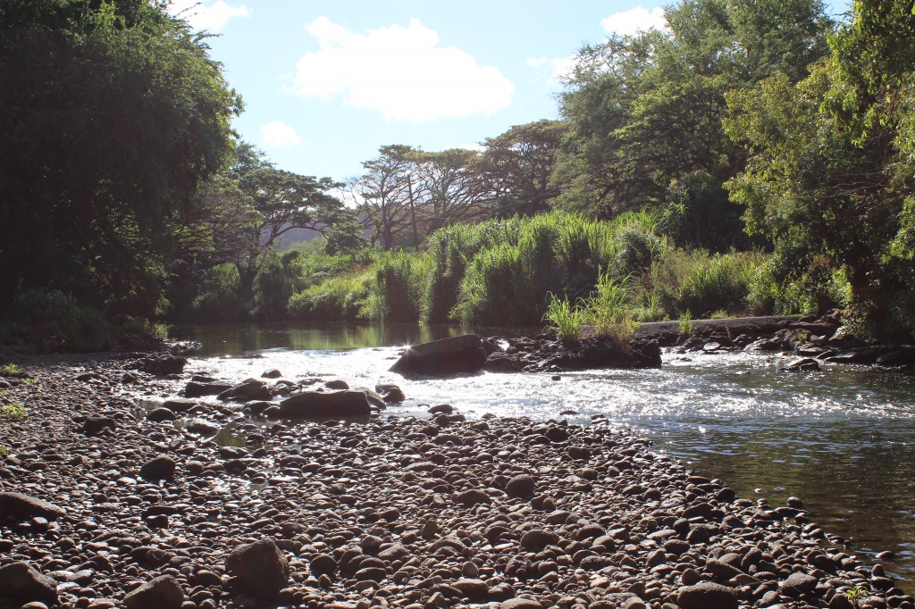 the creek bed in kauai, discovered while secret roading
