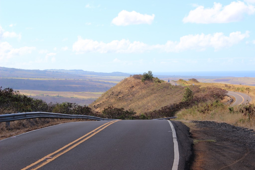 the road up to the Waimea Canyon & Na'Pali Coast lookouts, Kauai, Hawaii